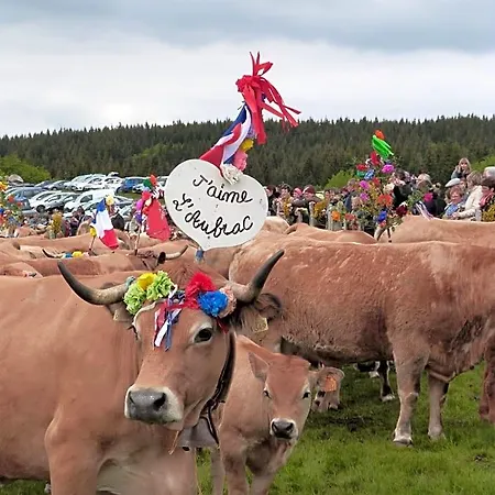 La Reine Des Pres D'hotes 住宿加早餐酒店